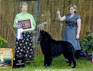 Ch. Cdn/Am Multi Group Placements Mayson Mapbella Delapagaille