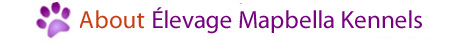 �levage Mapbella Kennels in Englehart, Ontario