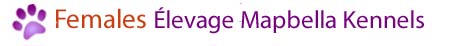 �levage Mapbella Kennels in Englehart, Ontario
