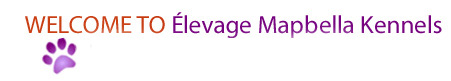 levage Mapbella Kennels in Englehart, Ontario
